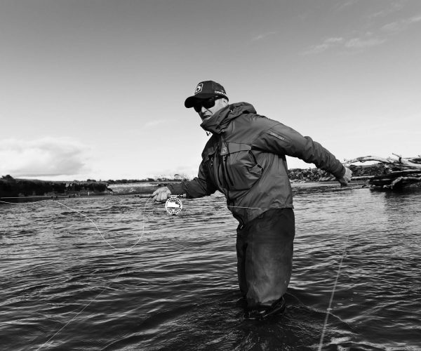 The Missing Salmon Alliance Fishmongers 2019