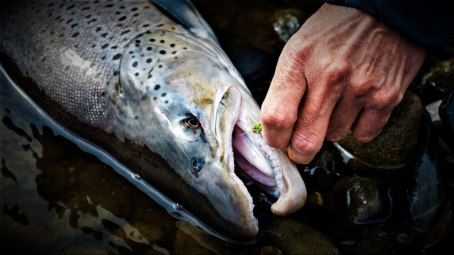 cambiar por Captura de Pantalla comprimido